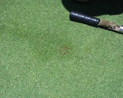 Ball mark repair 7