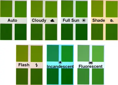 White balance