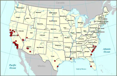 Distribution of rapid blight 2004