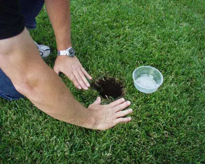 Pitfall trap for billbugs