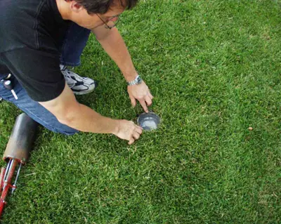 Pitfall trap for billbugs