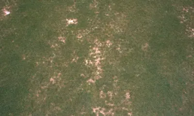 Polka-dot pattern due to salinity