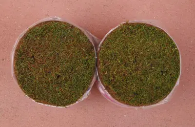 Disease sample submission - good example