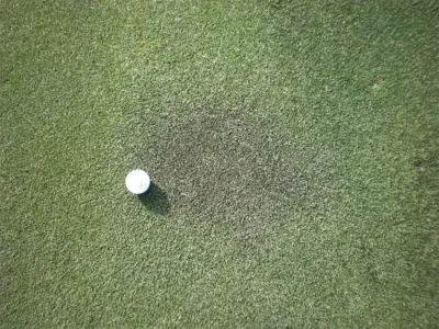 A4 bentgrass response to cold