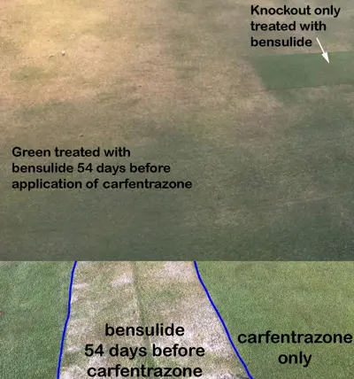 Bensulide and carfentrazone