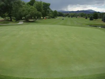 Five Green six weeks later