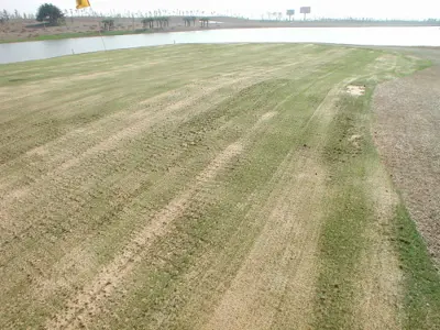 Bent Renovation