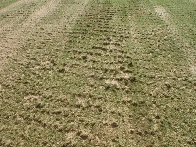 Bent Renovations??