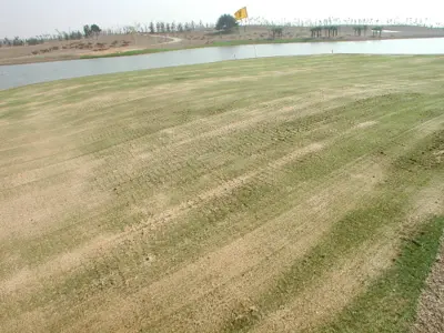 Bent Renovation