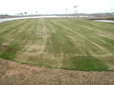 Bent Renovations