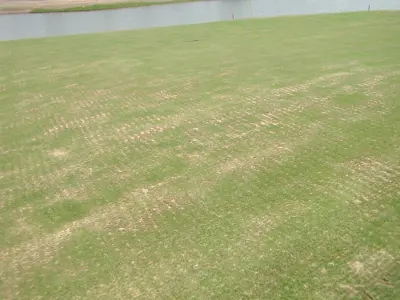 Bent Renovation