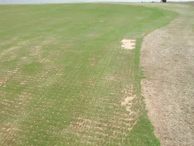 Bent Renovation