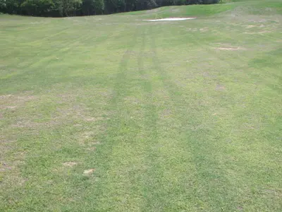 Unaffected tire tracks