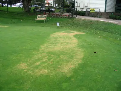 Chemical Burn