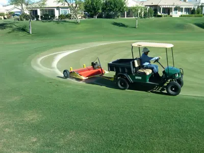 Another View Top Dressing