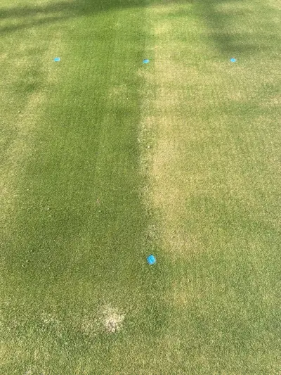 Shade impact on zoysia and bermuda