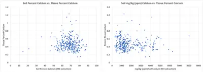 Soil vs. Tissue Calcium