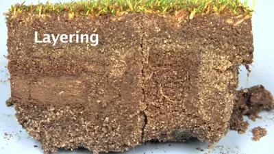 Layering in bentgrass green
