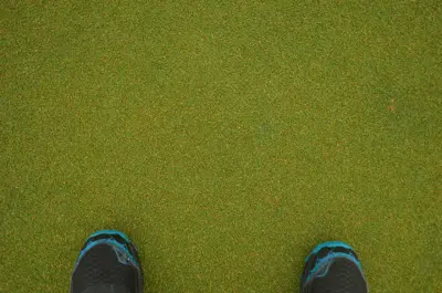 Seedheads on a Diamond zoysiagrass putting green