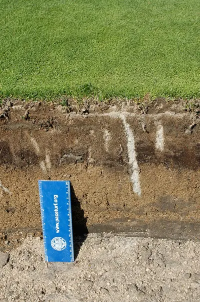 Deep tine aeration