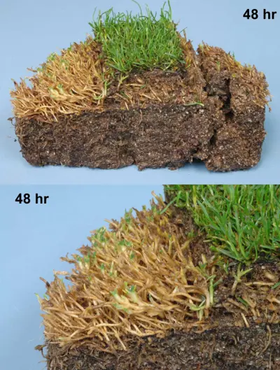 Tifeagle spring transition experiment (48 hours)