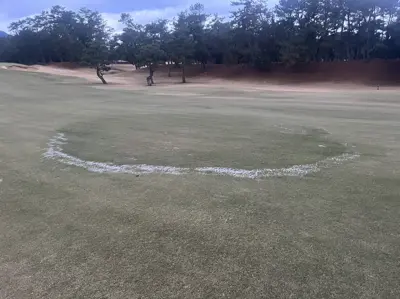 Frost on a fairway fairy ring