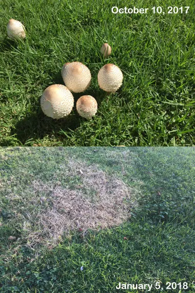 Winter dry spot