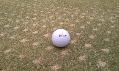 Aeration holes filled with sand