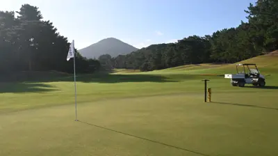 zoysiagrass (korai) golf putting green in Japan