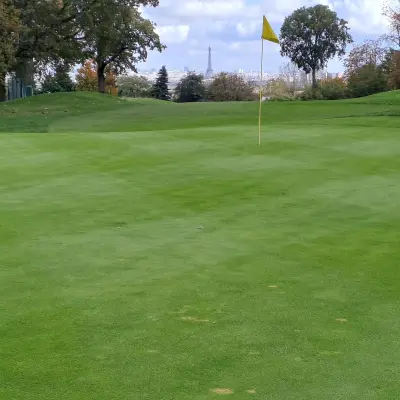 Green of Poa annua and bentgrass with Microdochium nivale