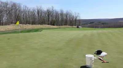 Penn A1/A4 creeping bentgrass green with no P fertilizer for 16 years