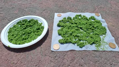 Grass clippings drying in the sun