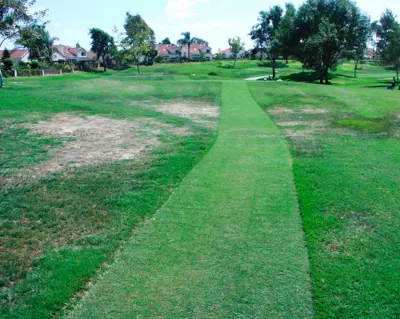 Improved transition with low mowing