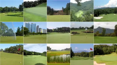 turfgrass sites with high quality turf conditions