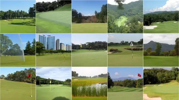 turfgrass sites with high quality turf conditions
