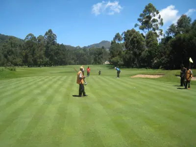 Warm-season grasses at Nuwara Eliya, Sri Lanka