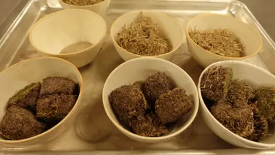 Large crucibles with samples prepared for total organic material testing