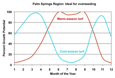 Growth potential for Palm Springs, CA: Ideal for overseeding
