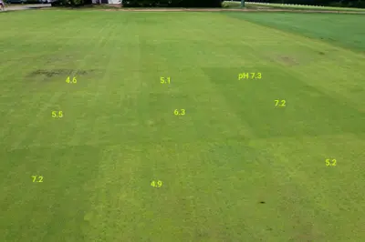 Poa annua putting green growing in varying soil pH