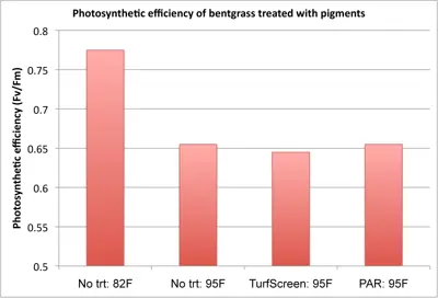 Plant health effects of pigments