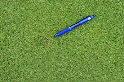 Ball mark repaired with plug