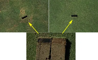 Black layer - A4 Bentgrass