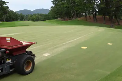 Towels on a golf course putting green to collect sand for measurement of application rate when topdressing