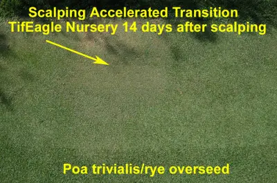 Scalping accelerated transition