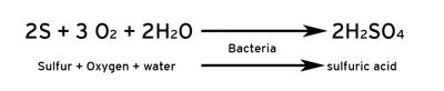 Soil S reaction