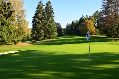 a bentgrass golf course putting green in Switzerland