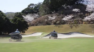 Sand topdressing a putting green