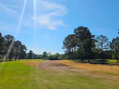 Winterkill of bermudagrass in shade