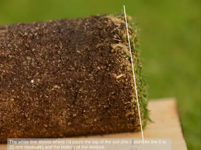 The 0 point for the soil in OM246 testing