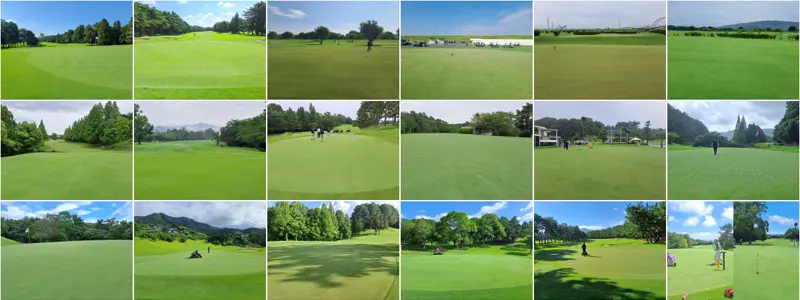 Nineteen greens measured in July 2023 with the Clegg golf course firmness tester and with a sample taken for particle size analysis from the 0 to 2 cm layer. montage of 19 putting greens measured for this experiment